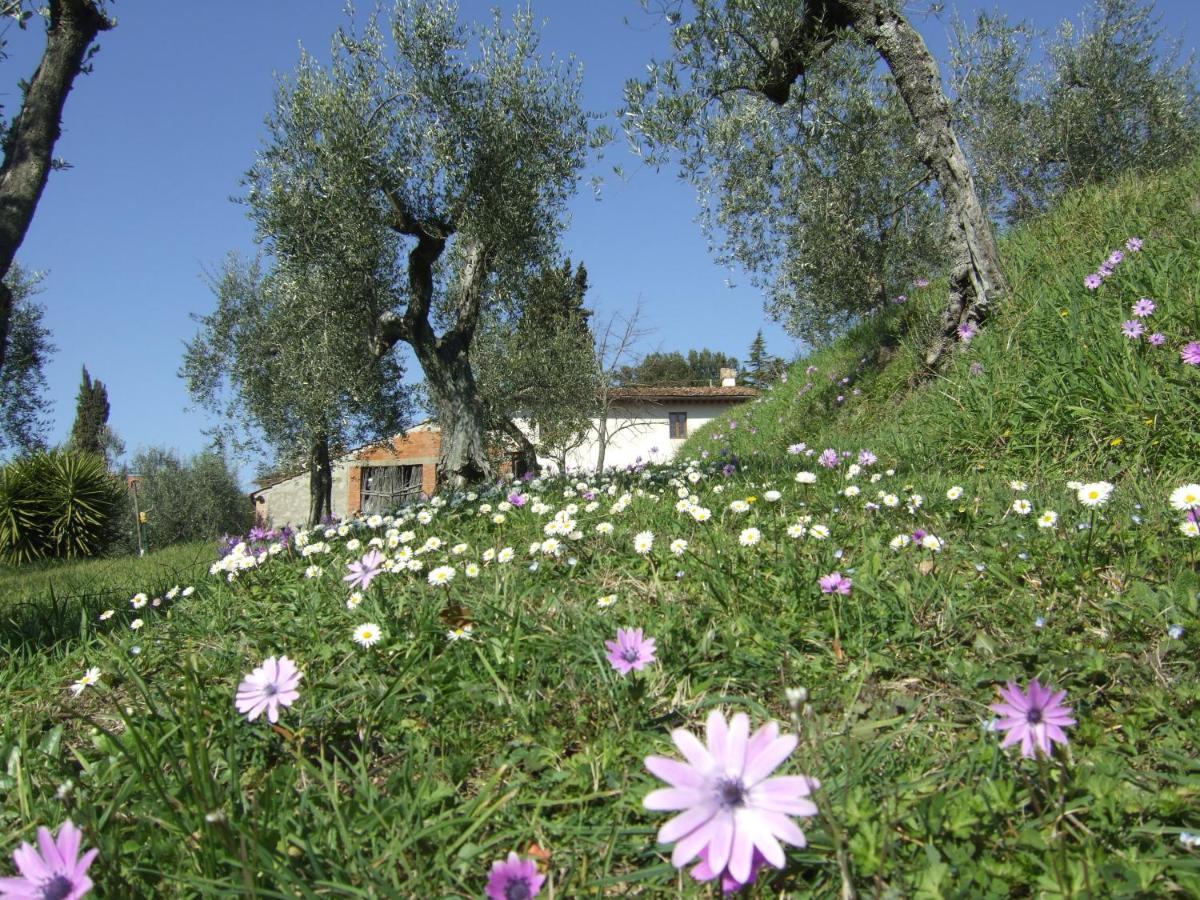 Podere Sanlorenzo Καρμινιάνο Εξωτερικό φωτογραφία