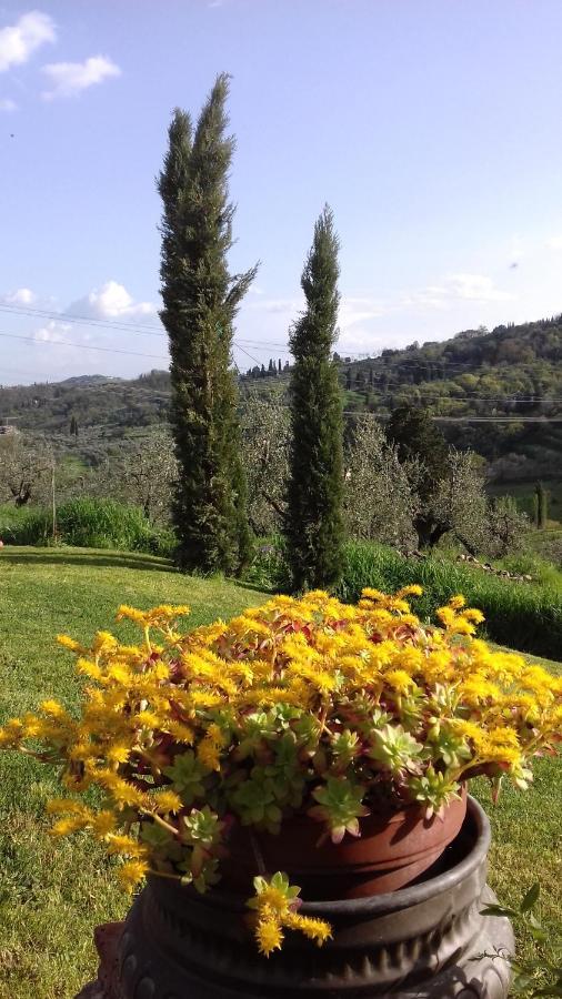 Podere Sanlorenzo Καρμινιάνο Εξωτερικό φωτογραφία